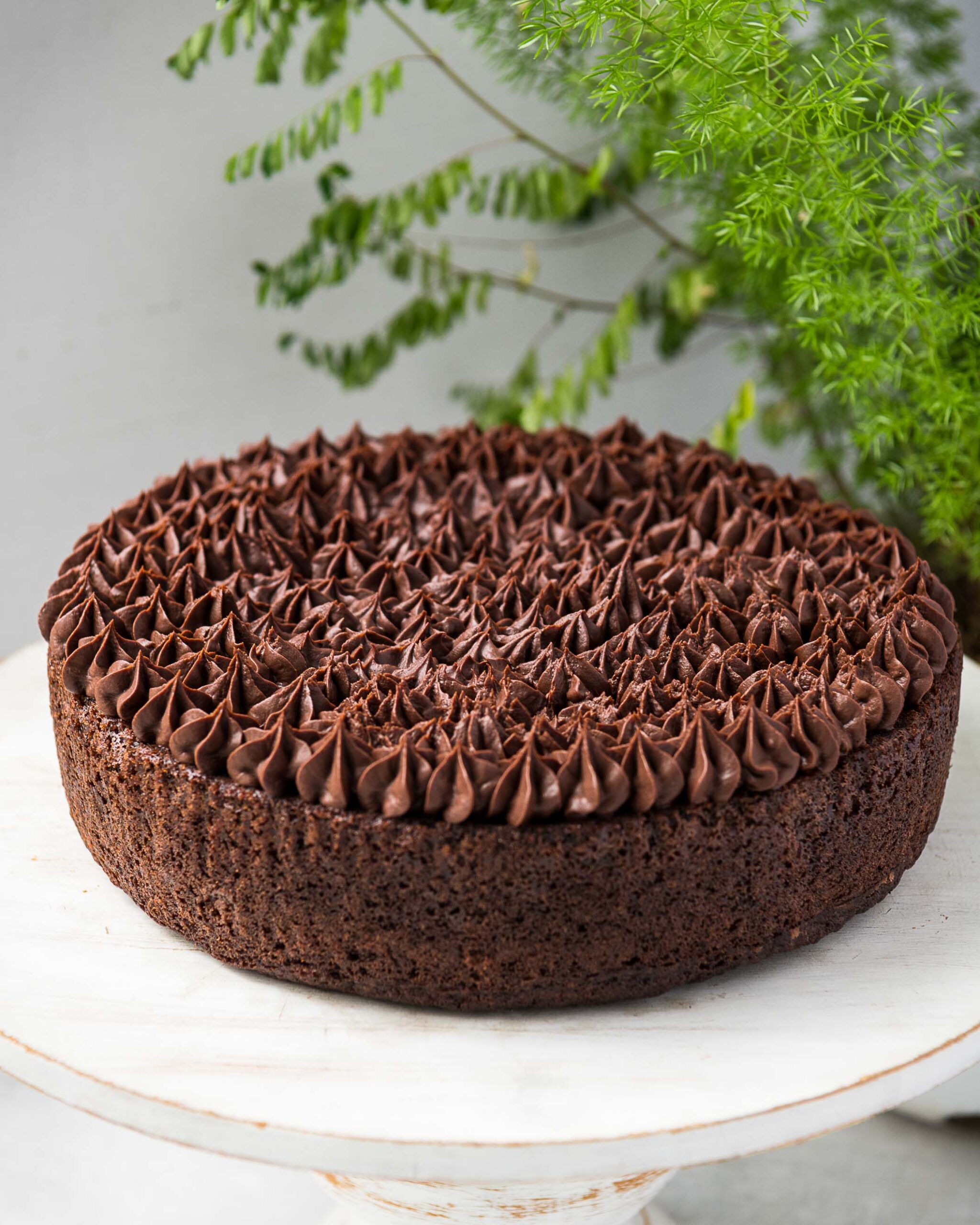 Inicio bocetos lucia cocina 6835