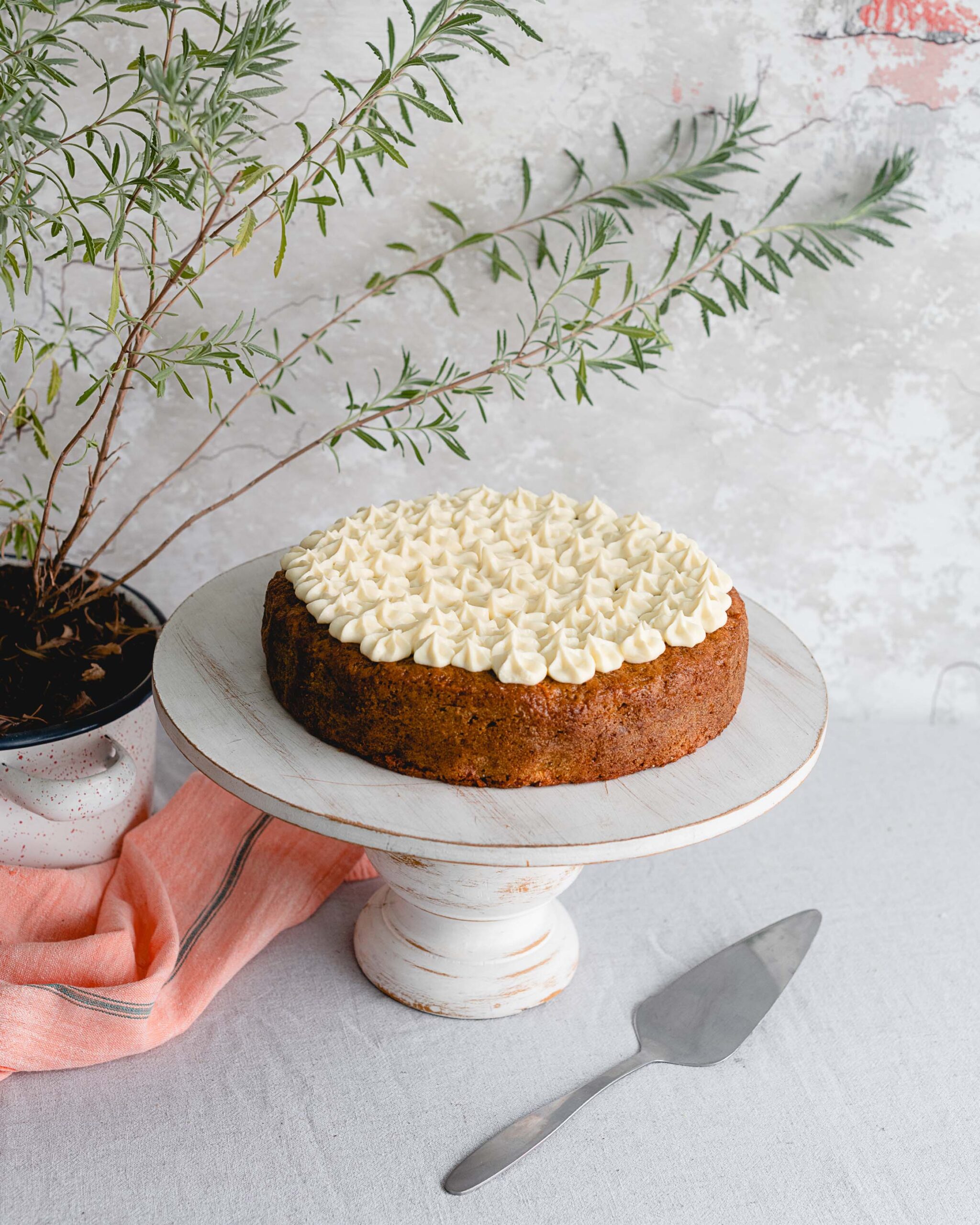 Inicio torta zanahoria